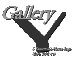GalleryY-Photo Studio